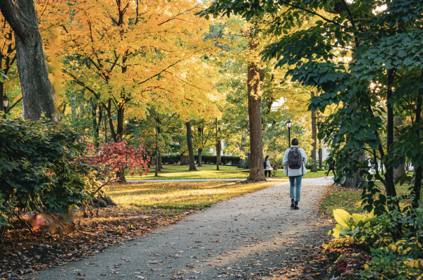 On-campus motor vehicle theft jumped from 16 reported offenses in 2022 to 101 in 2023, continuing a trend of rising theft on the Evanston campus since 2021.